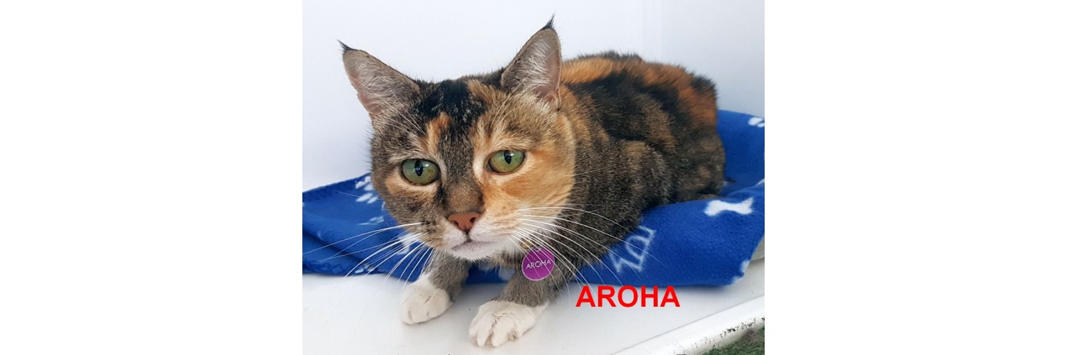Aroha