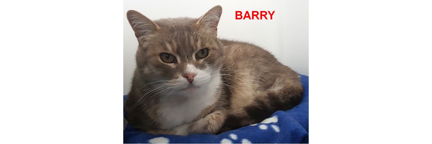 Barry