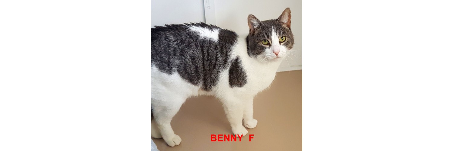 Benny  F