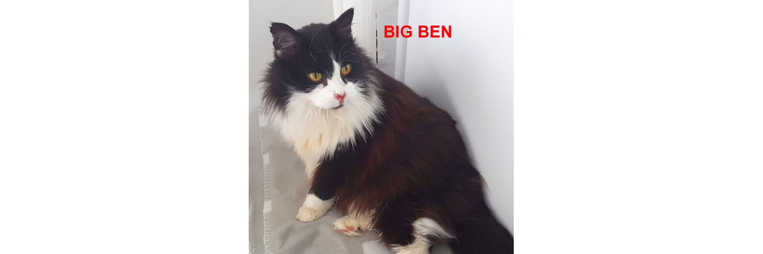 Big Ben