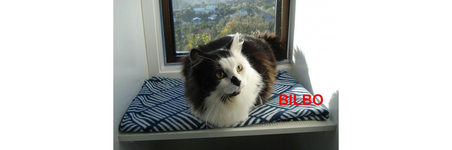 Bilbo