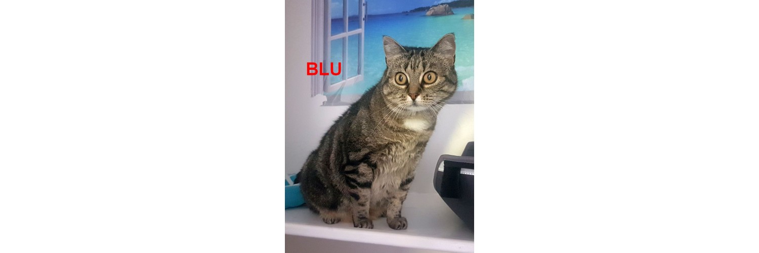 Blu