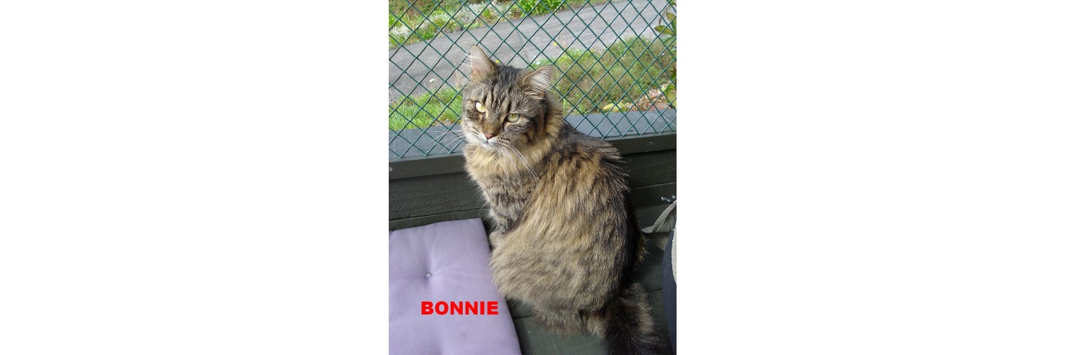 Bonnie
