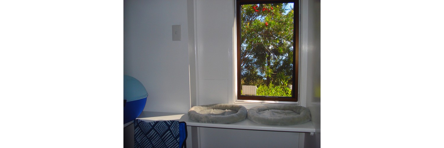 Cable Bay Cattery 12