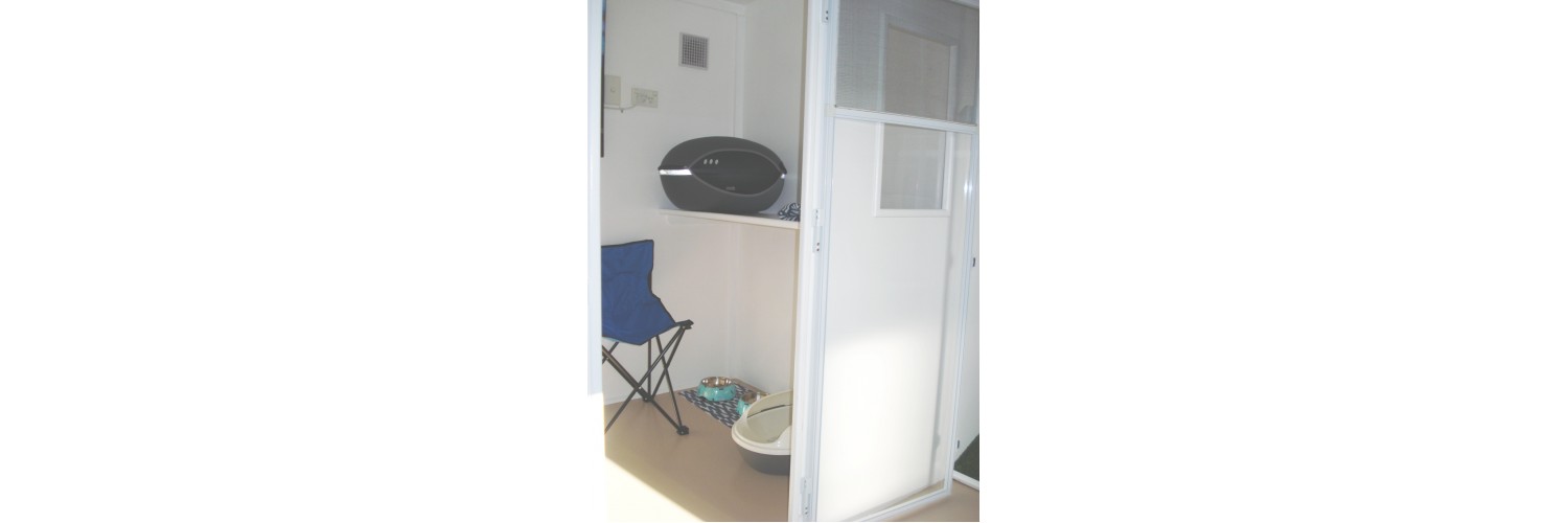 Cable Bay Cattery 15