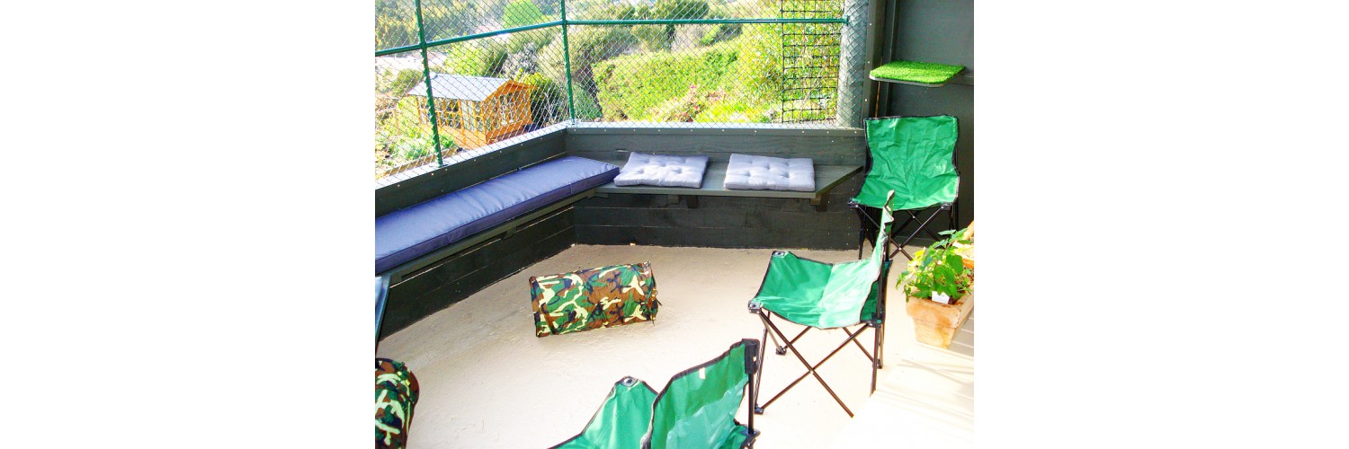 Cable Bay Cattery 18