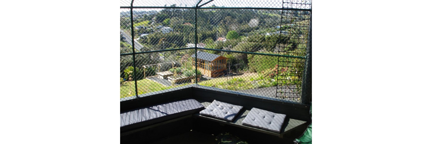 Outside 1