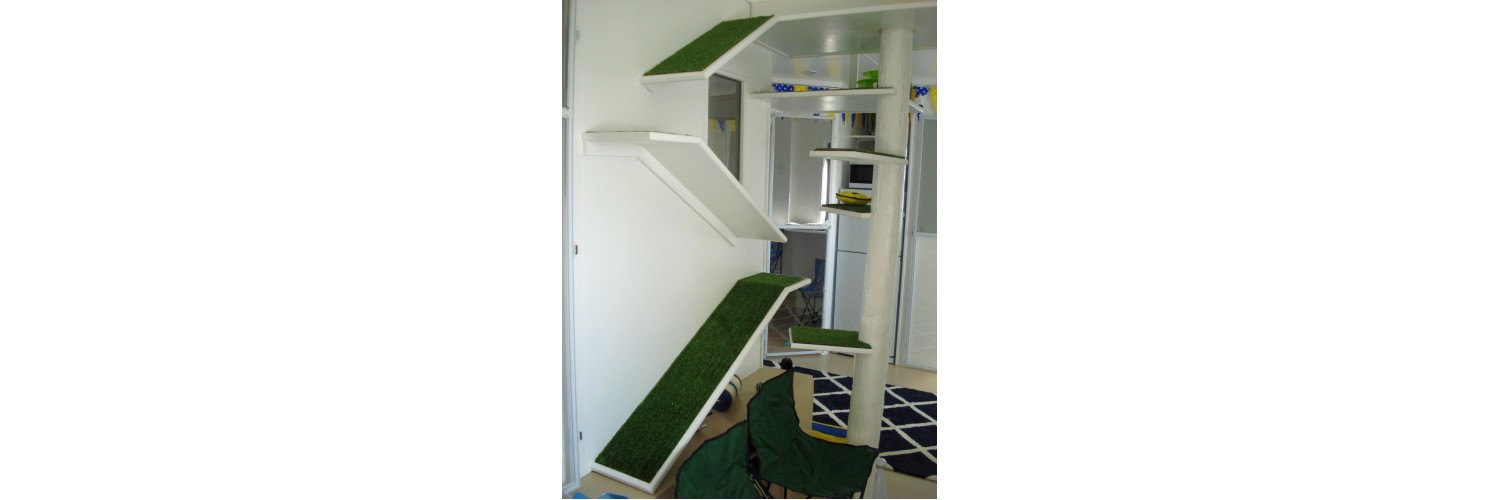 Cable Bay Cattery 8