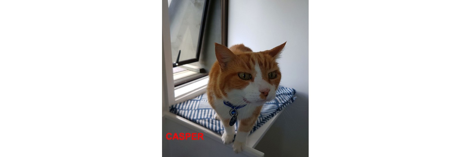 Casper