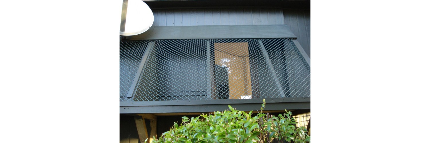 Cat Decks 1