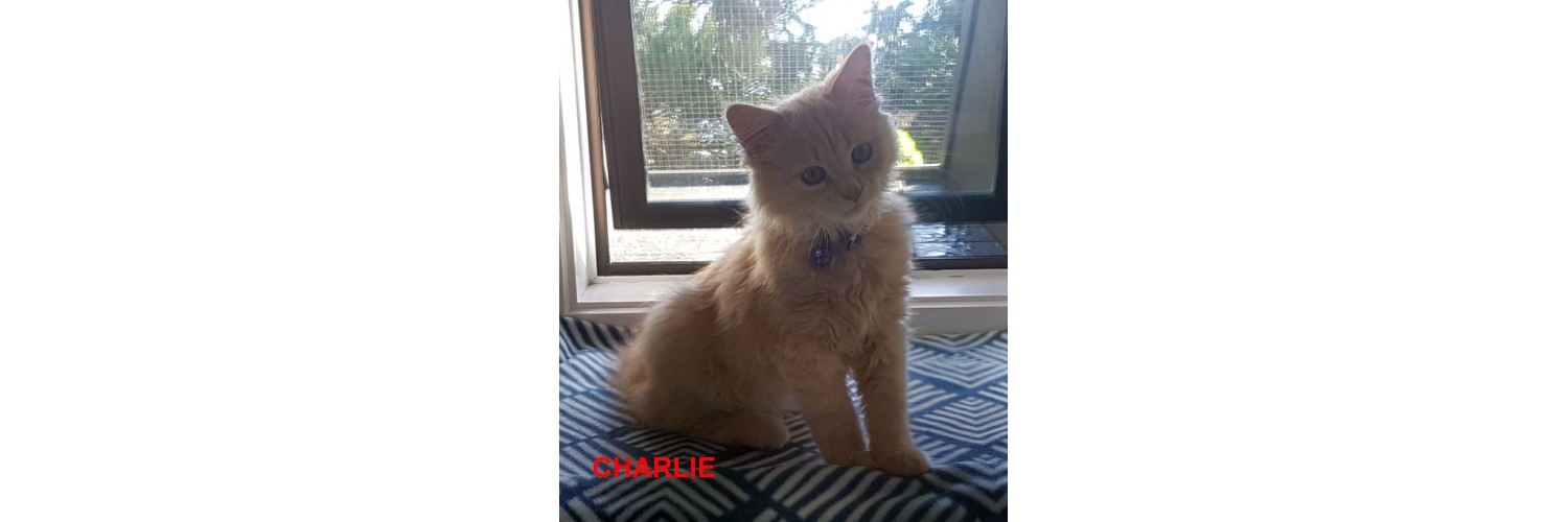 Charlie