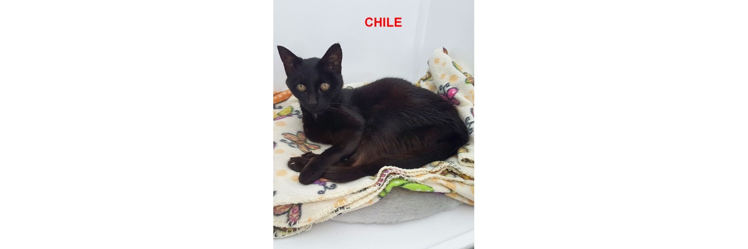 Chile