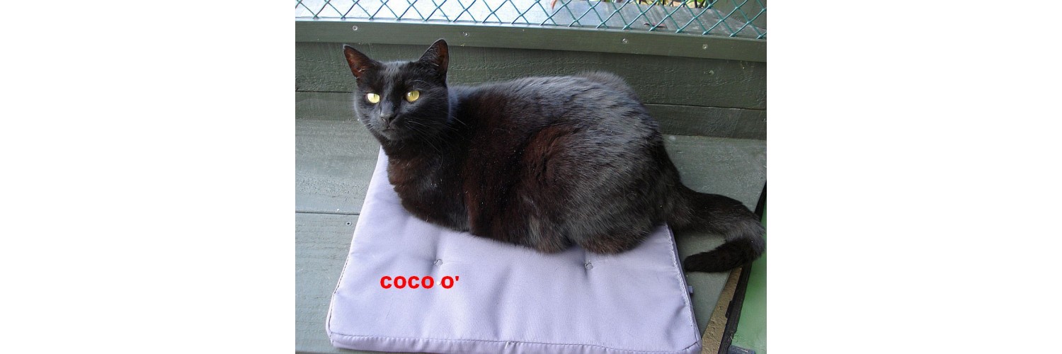 Coco O