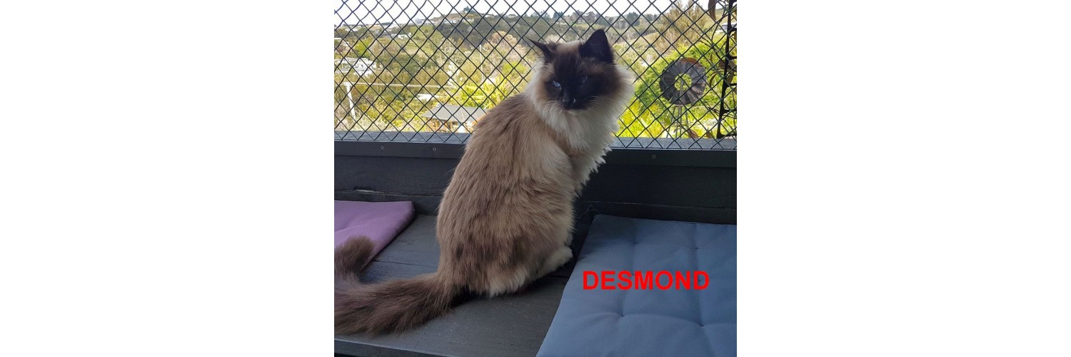 Desmond