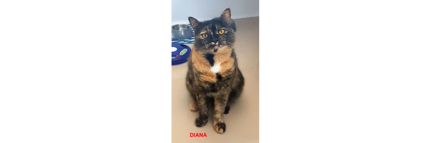 Diana