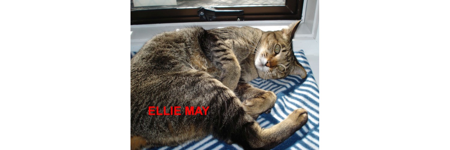 Ellie May