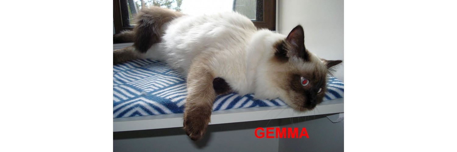 Gemma