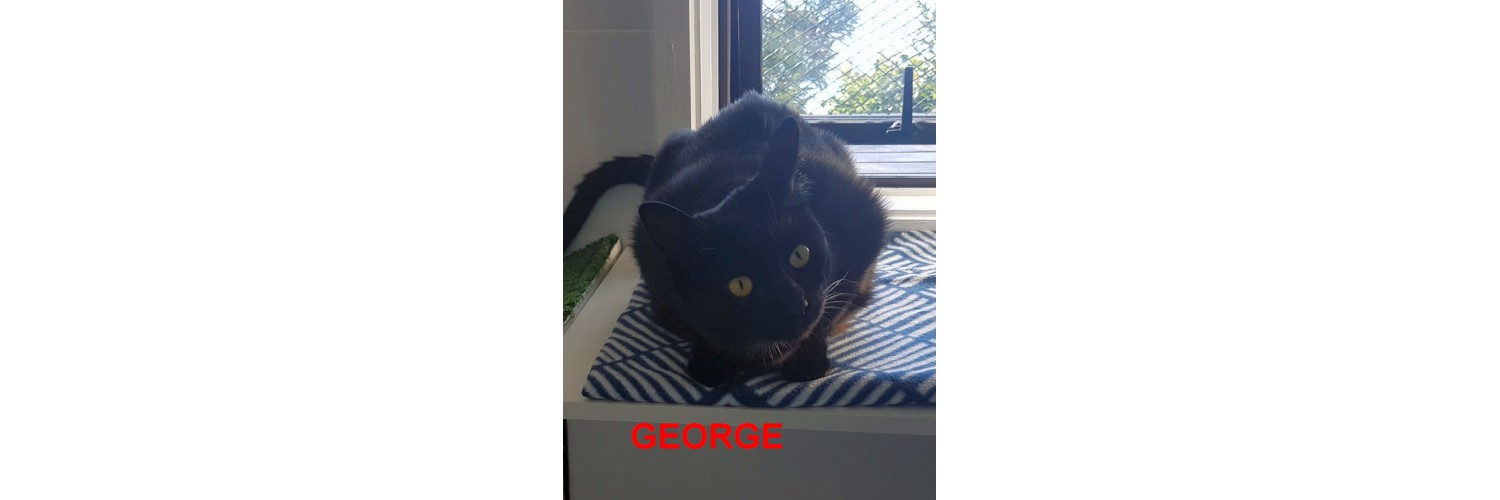 George