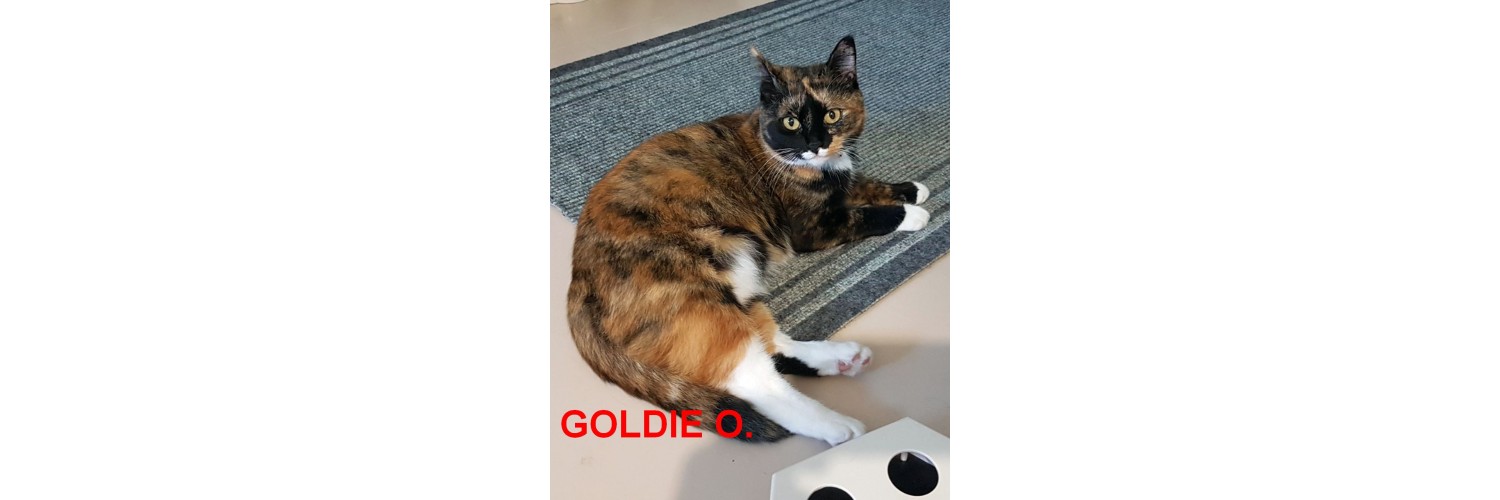 Goldie O