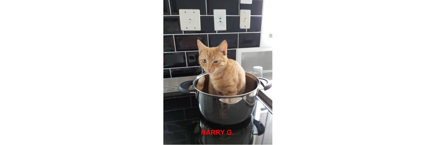 Harry G