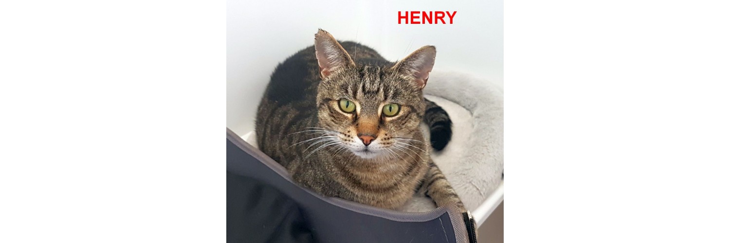 Henry