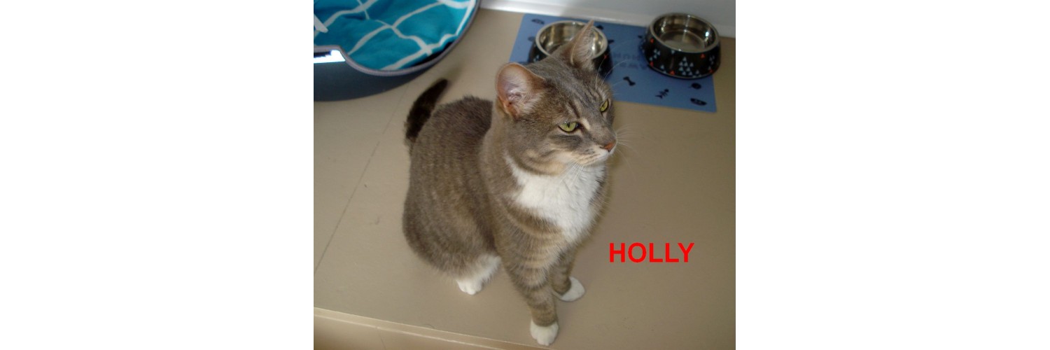 Holly