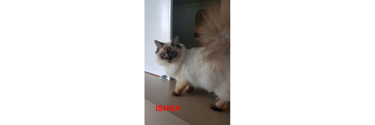 Ishka