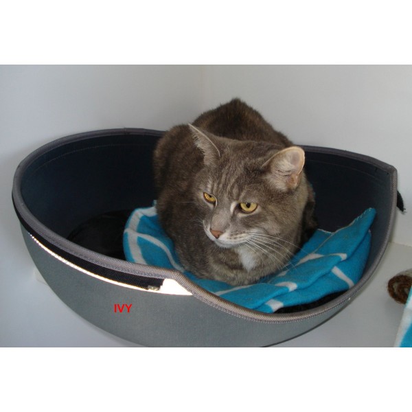 seventy eight banner