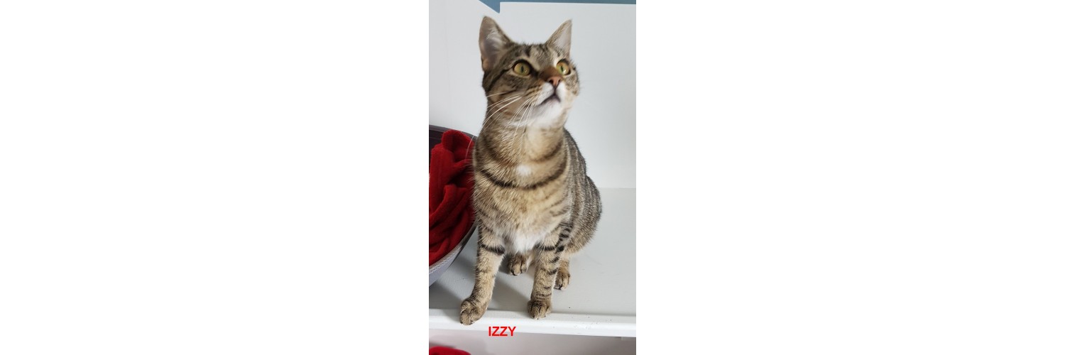 Izzy