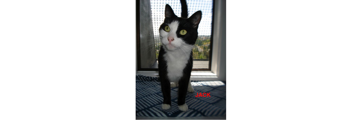 Jack Bauer