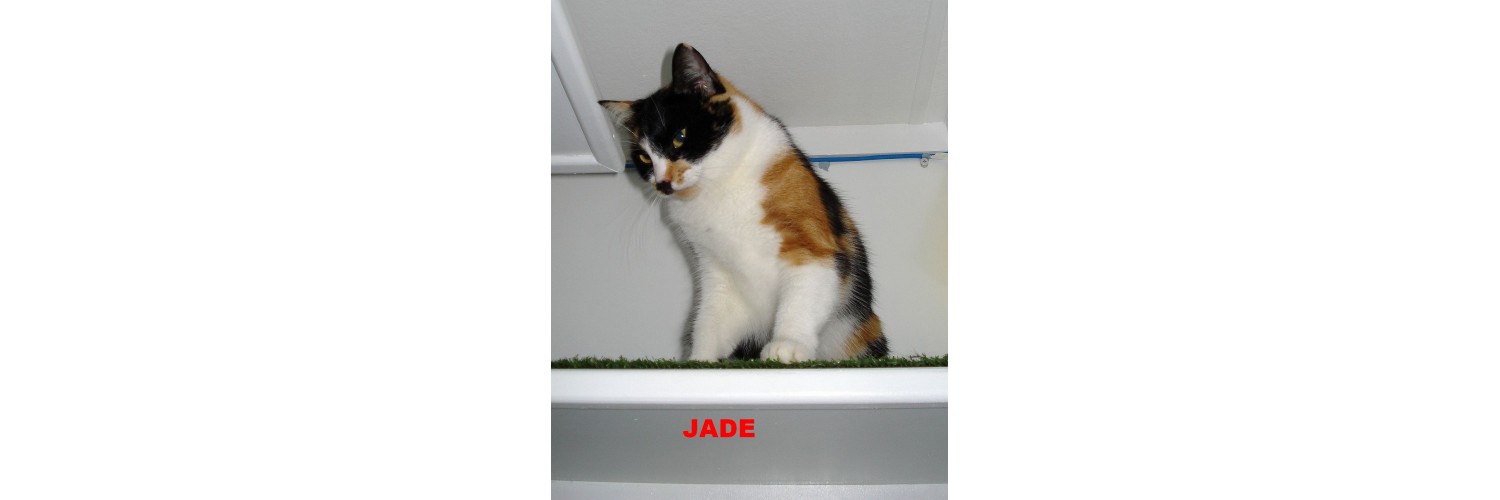 Jade
