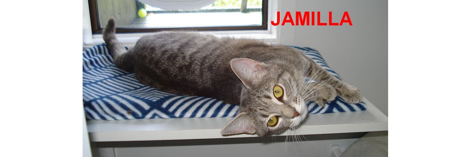Jamilla