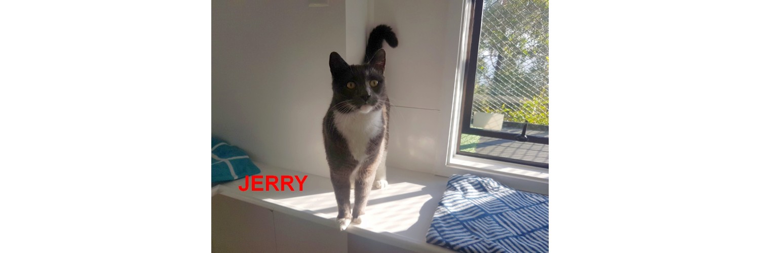 Jerry