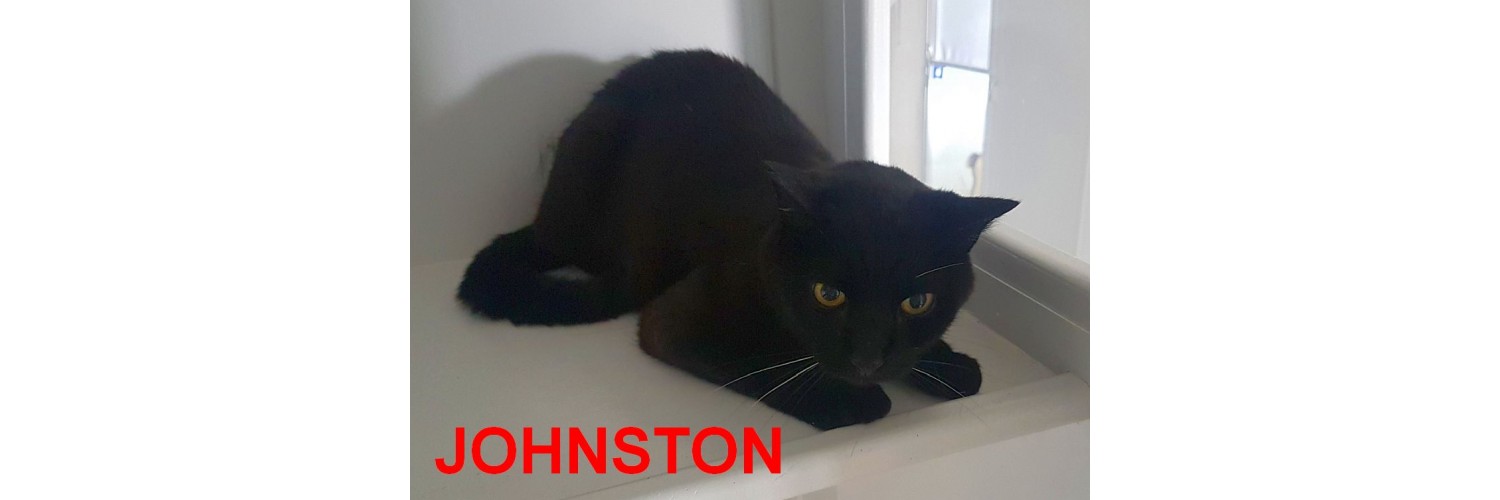 Johnstone