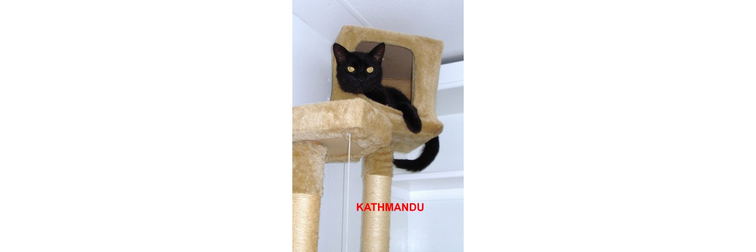 Kathmandu