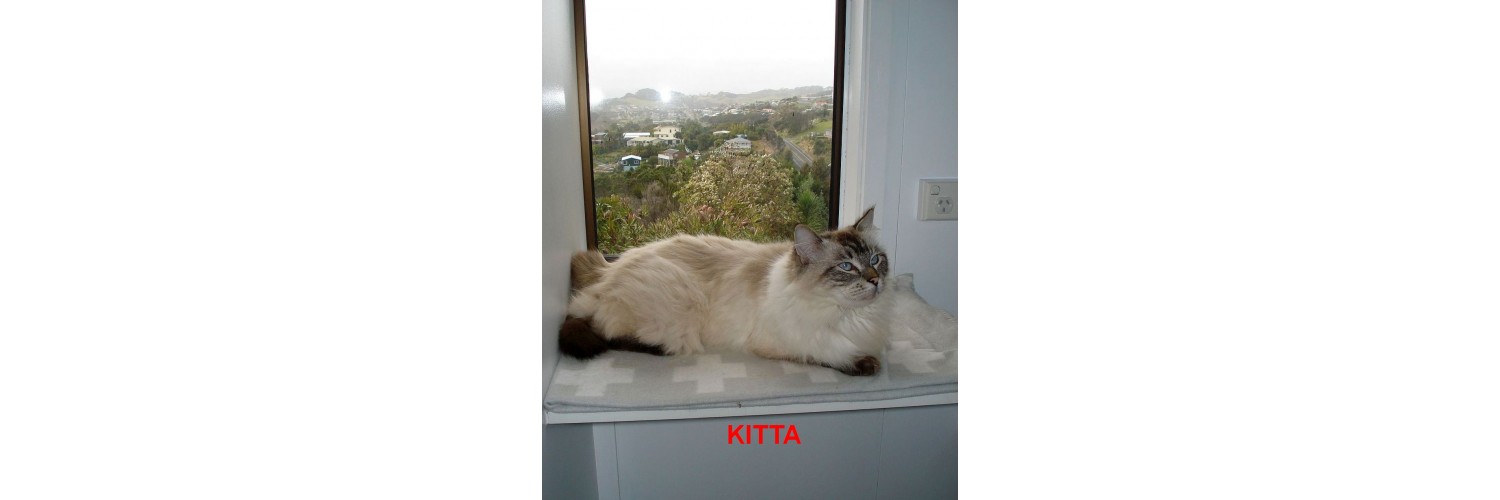 Kitta