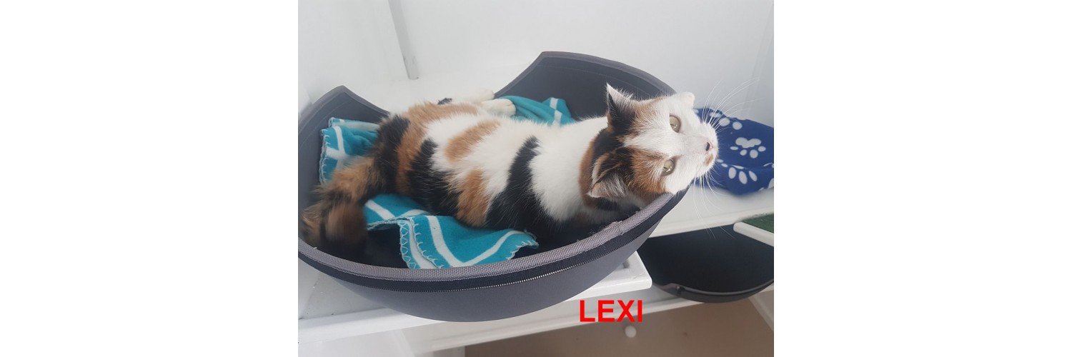 Lexi