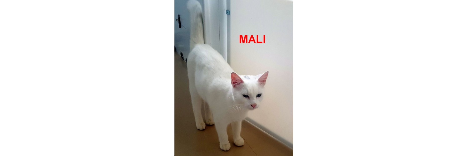 Mali