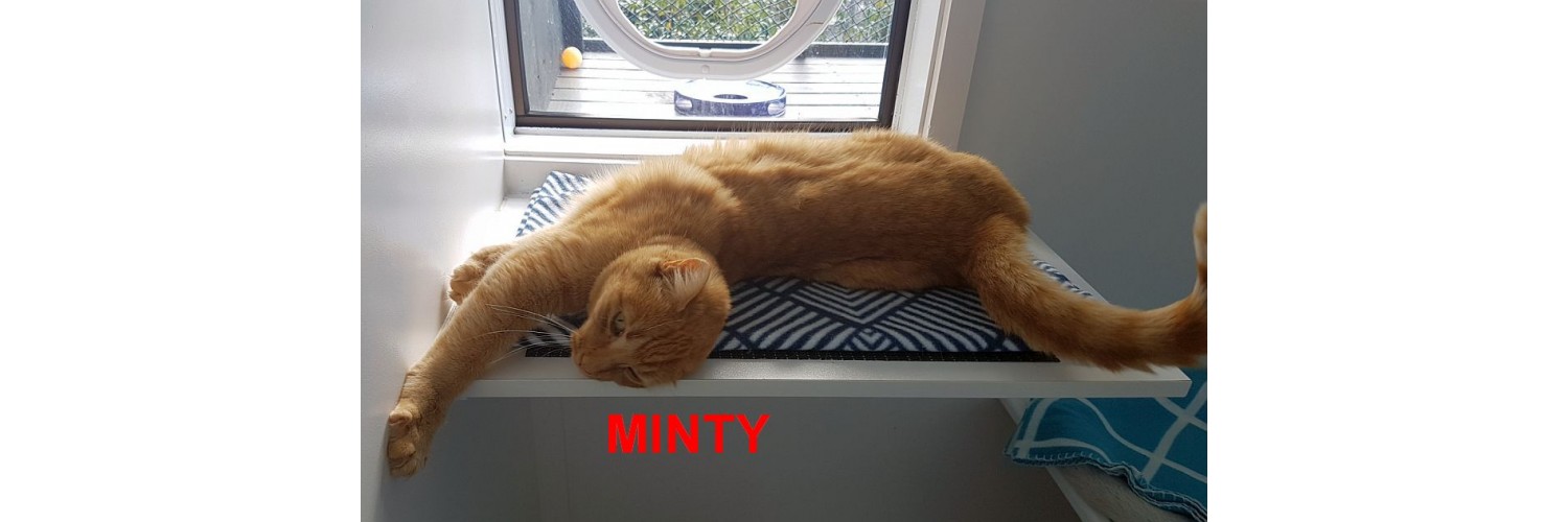 Minty