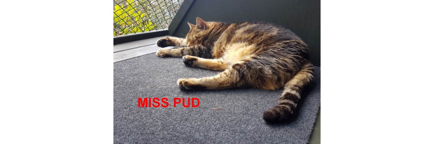 Miss Pud
