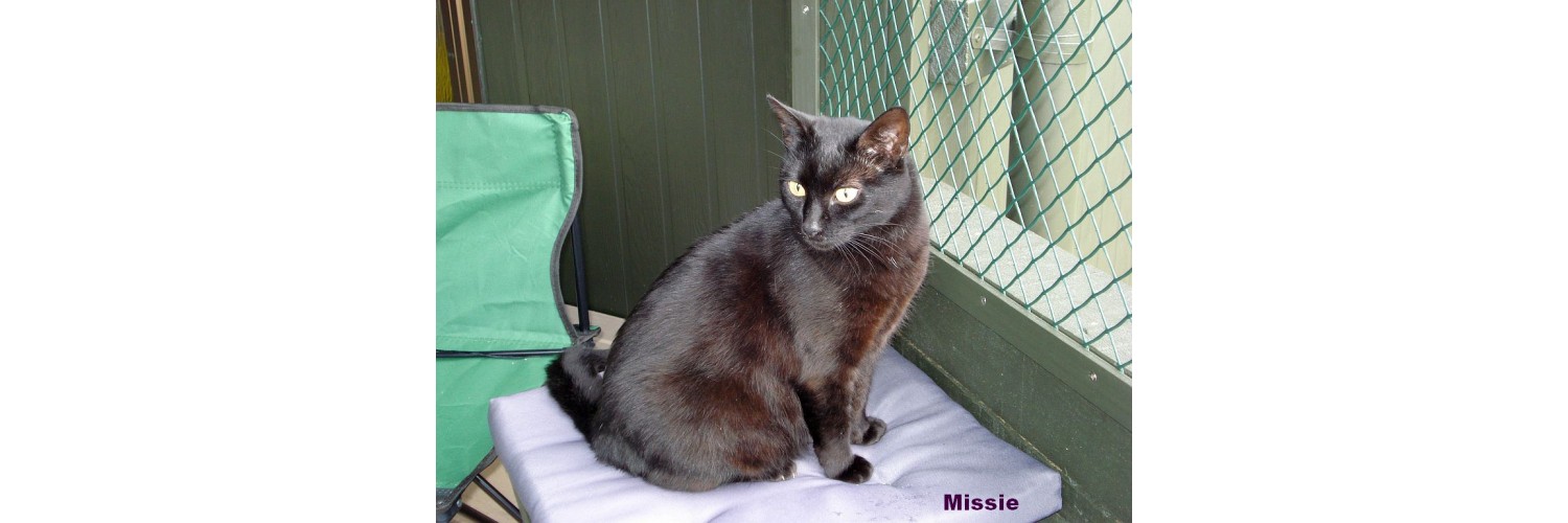 Missie