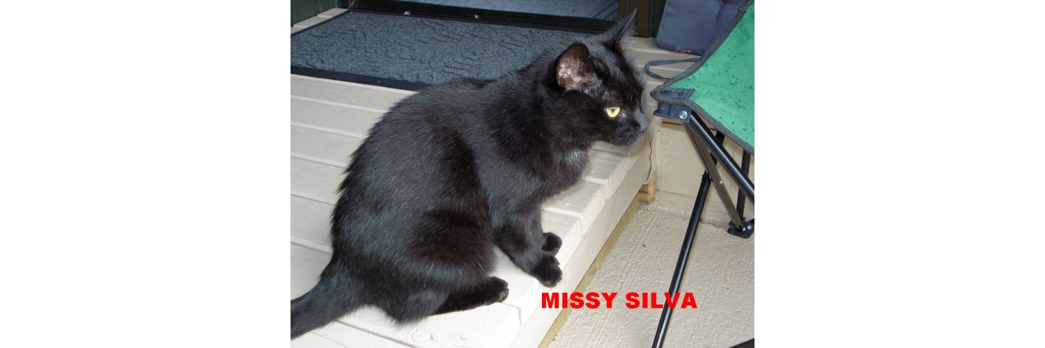 Missie Silva