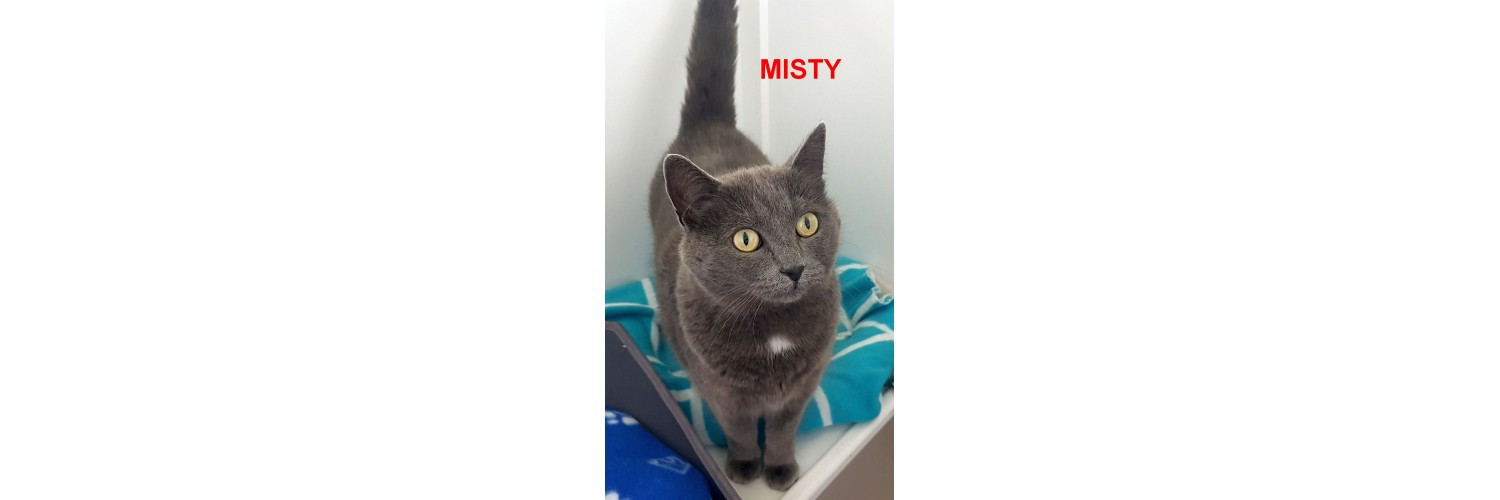 Misty