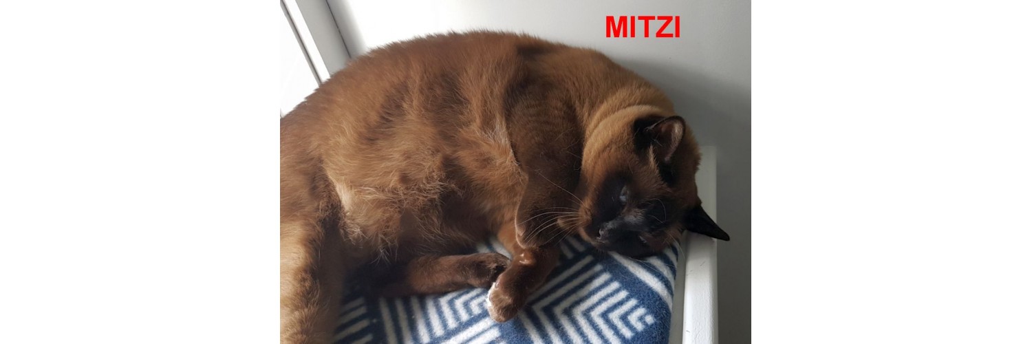 Mitzi