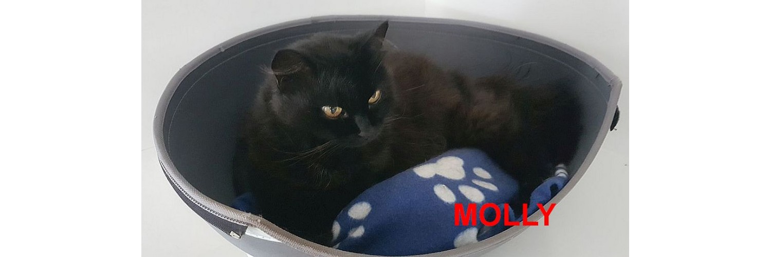 Molly