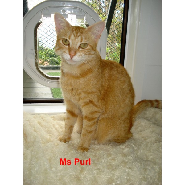 seventy seven banner