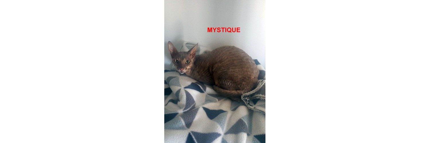 Mystique