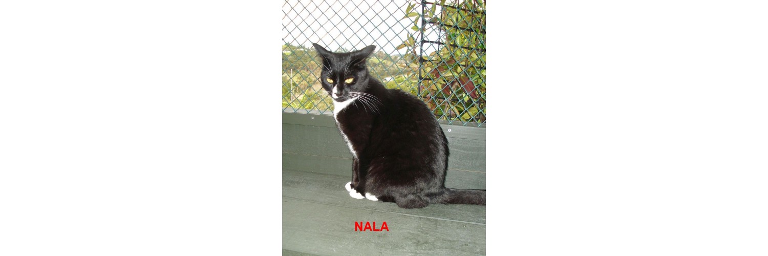 Nala