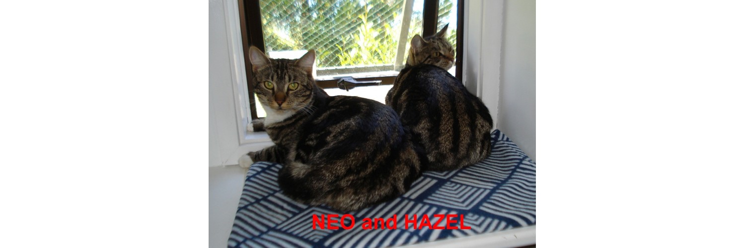Neo and Hazel