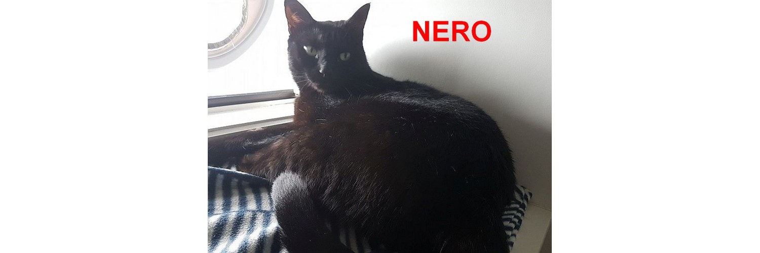 Nero